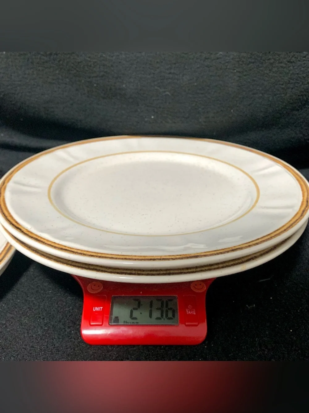 Handpainted Americana Hearthside Heritage Stoneware Dinner Plates Set of (2)